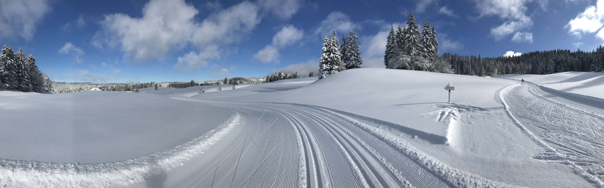 home-landscape-scaled Pistes de ski de fond station La Vattay